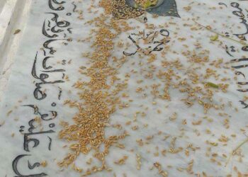 "Tabrid el fess" : Regards sur les coutumes liées au deuil en Tunisie