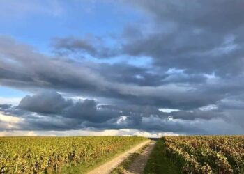 Il était une fois l'Auberge de la Habibia