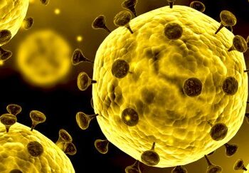 Coronavirus : Premier cas confirmé au Maroc