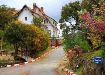 Déconfinement : Au seuil de l'été, la vie frémit, la joie revient