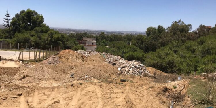 Forêt de Gammarth : Comment une terre domaniale devient une poubelle