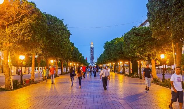Chômage et pauvreté : Le PNUD craint un retour dix ans en arrière en Tunisie !