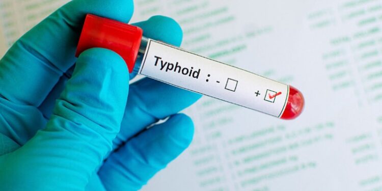 Tunisie : 230 cas de fièvre typhoïde à Tataouine