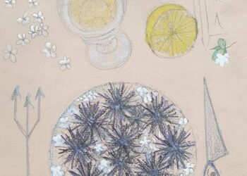 Oursins, citron et jasmin : Signé Jellal Ben Abdallah