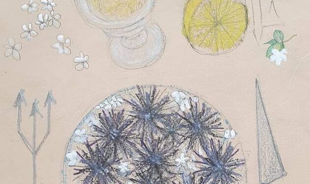 Oursins, citron et jasmin : Signé Jellal Ben Abdallah