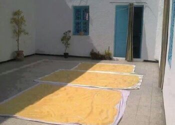 Les voleurs d'amandes qui sèchent au soleil