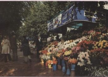 La nostalgie des fleuristes de l'Avenue