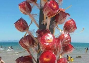 Dabbouz el ghoul : Pommes d'amour en été