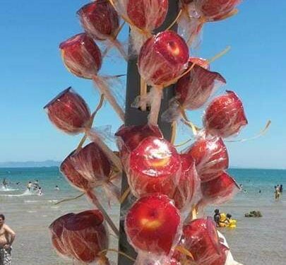 Dabbouz el ghoul : Pommes d'amour en été