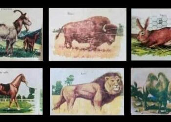 Nostalgies : Ces images qui nous ont tant fait rêver