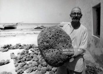 Pêcheurs d'éponges