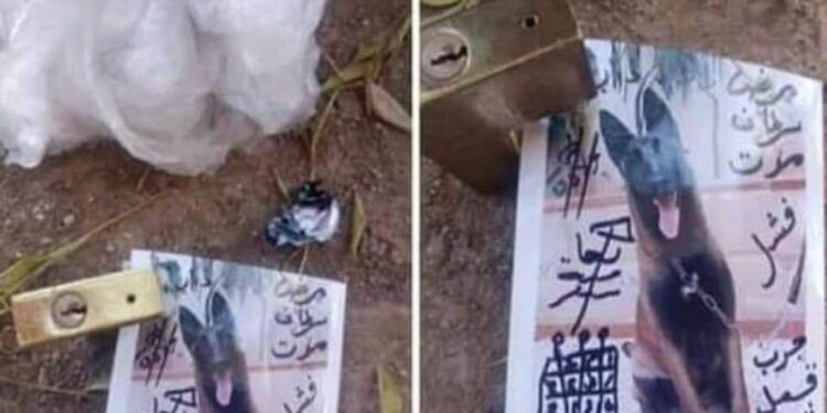 Tunisie : Sur Facebook, campagne contre la magie noire !