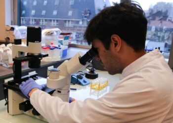 France : L'Institut Pasteur découvre une molécule efficace contre le coronavirus
