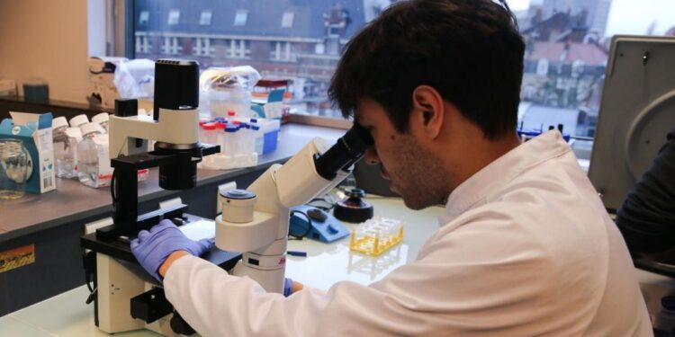 France : L'Institut Pasteur découvre une molécule efficace contre le coronavirus