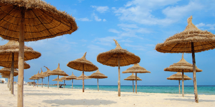 Tunisie : Le nombre de touristes en baisse de plus de 73%