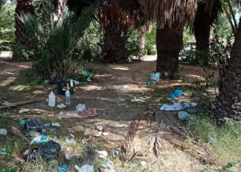 Montplaisir : Le jardin botanique à la dérive