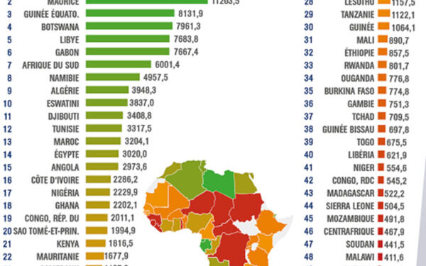 PIB par habitant : La Tunisie, 12e dans le classement 2019 des pays africains