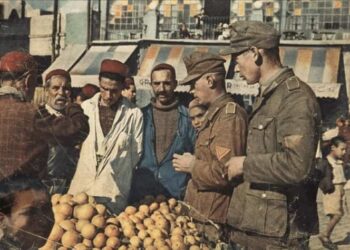 Mémoires de 1943 : Soldats allemands et italiens en Tunisie