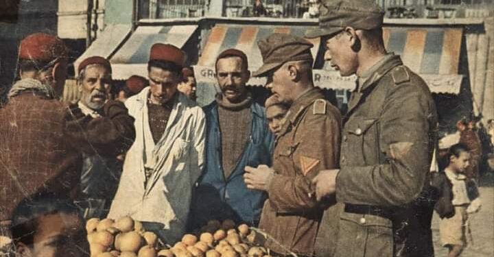 Mémoires de 1943 : Soldats allemands et italiens en Tunisie