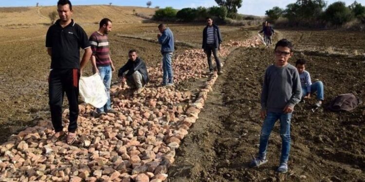 Jendouba : Un chemin de pierre pour les enfants des zones rurales