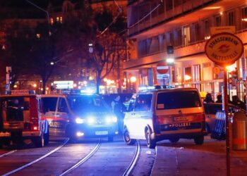 Vienne : Plusieurs morts dans une fusillade près d'une synagogue