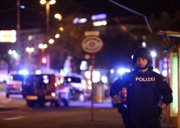 Fusillade à Vienne : L'assaillant, un islamiste autrichien d'origine albanaise
