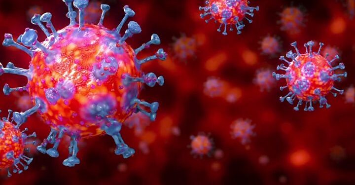 Que sait-on de la nouvelle souche du coronavirus ?