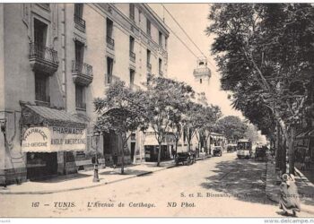Le charme fané de l'avenue de Carthage