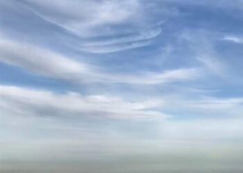 "Quel bonheur d'être nés en Tunisie" !