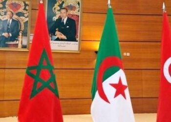 32e anniversaire de l'UMA : Kais Saied réitère l'engagement de la Tunisie
