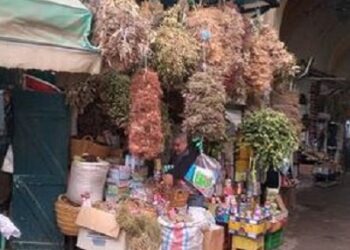 Les herboristes sont des artistes