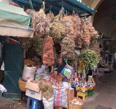 Les herboristes sont des artistes