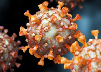 Que sait-on du variant anglais du coronavirus ?