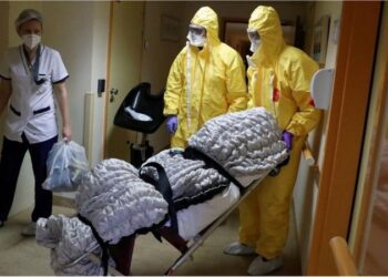 Le Covid-19 a fait entre 6 et 8 millions de morts dans le monde, selon l'OMS