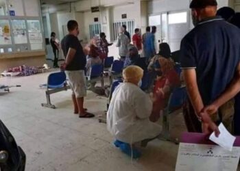 Vague mortelle, variants&hellip; Mohsen Marzouk veut faire appel &agrave; la communaut&eacute; internationale