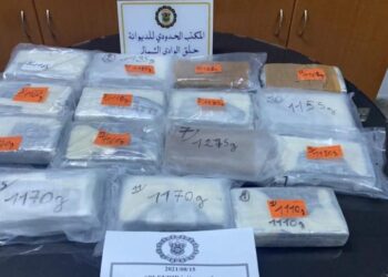 Port de la Goulette : Saisie record de 17 kg de cocaïne d'une valeur de 15 MD