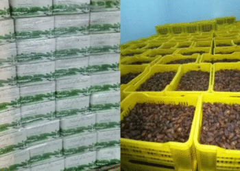 Sp&eacute;culation : Des tonnes de fruits d'une valeur de 274 mille dinars saisies &agrave; Ben Arous