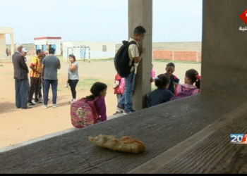 Kais Saied ordonne la restauration compl&egrave;te d&rsquo;une &eacute;cole &agrave; Jebal Semama