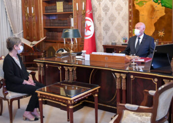 Hamma Hammami : "Le gouvernement de Bouden sera celui du coup d'&Eacute;tat !"