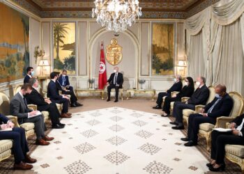 Tunisie : Kais Saied re&ccedil;oit une d&eacute;l&eacute;gation du Congr&egrave;s am&eacute;ricain
