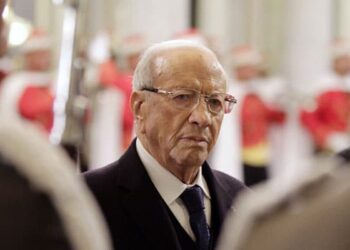 "B&eacute;ji Ca&iuml;d Essebsi, &agrave; l'origine du blocage des &eacute;lections de la Cour constitutionnelle", selon Fetiti