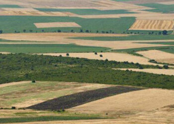 Fermes domaniales : Enqu&ecirc;te sur l'attribution et l'exploitation d'une ferme &agrave; Ben Arous