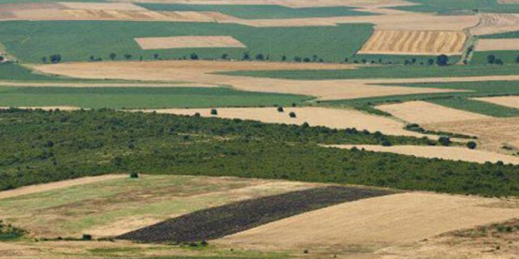 Fermes domaniales : Enquête sur l'attribution et l'exploitation d'une ferme à Ben Arous