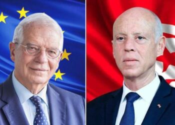 Kais Saied &agrave; l'UE : "La Tunisie &eacute;tait au bord de l'effondrement"