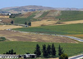 Tunisie : Hausse des prix de location des terres domaniales agricoles