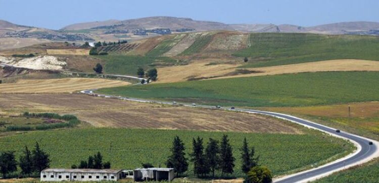 Tunisie : Hausse des prix de location des terres domaniales agricoles