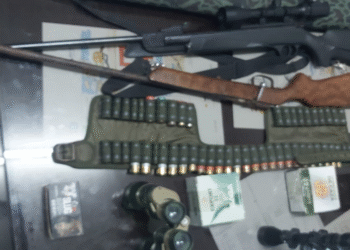 Des armes et des munitions saisies dans une maison &agrave; Nabeul