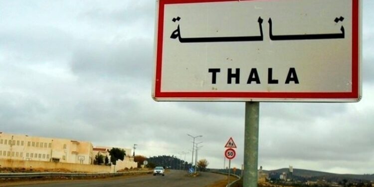 Kasserine : Drapeau national incendié et tags takfiristes à Thala