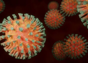 Covid-19 : Un premier cas du nouveau variant détecté en Belgique