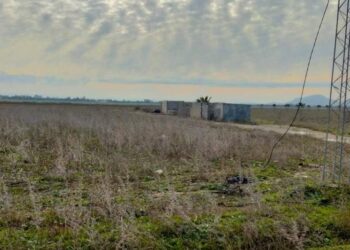 R&eacute;cup&eacute;ration d'un terrain domanial agricole de 30 ha &agrave; la Manouba